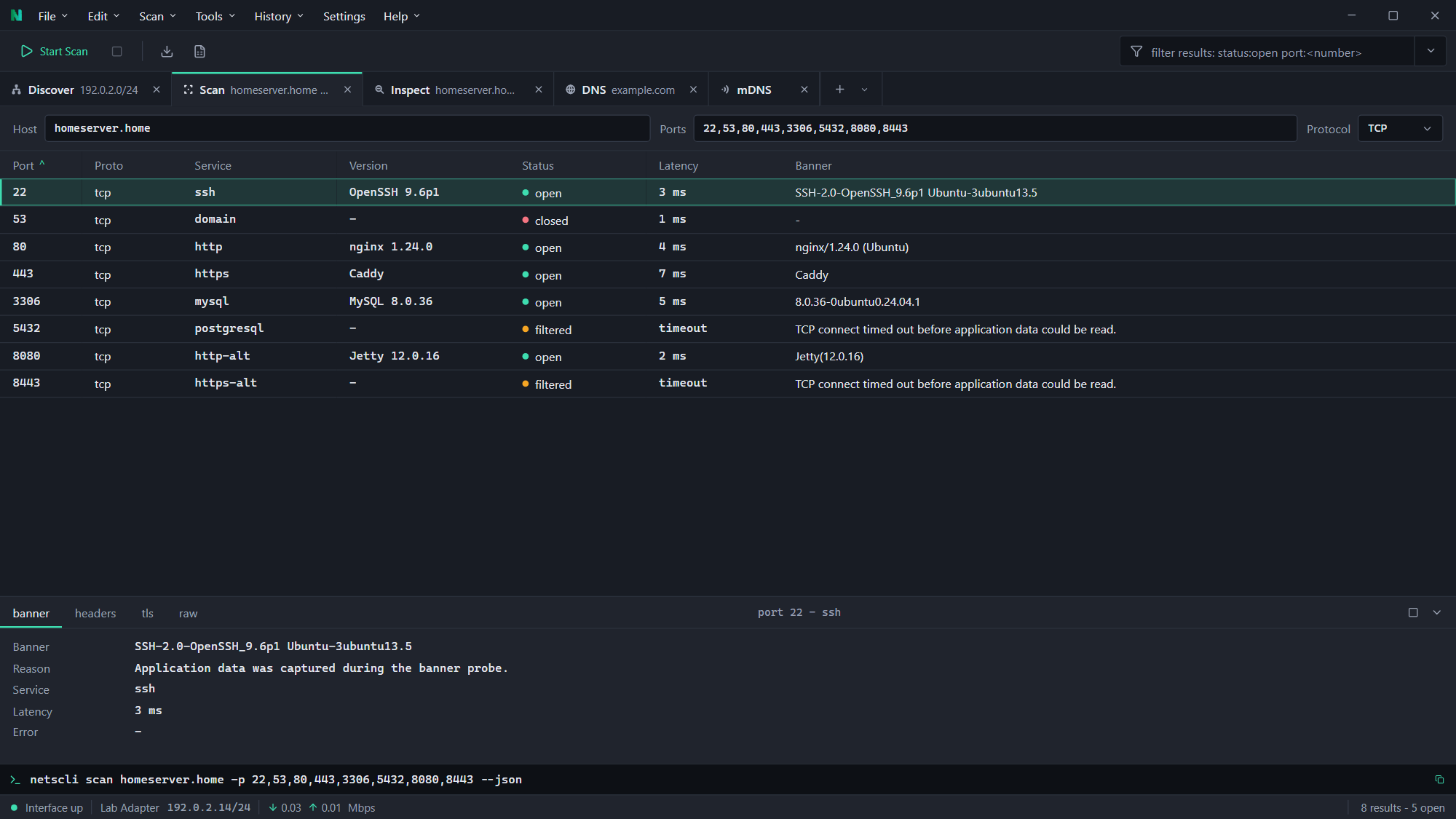 Port scan results in NetsCLI Desktop, with a Version column and the details pane open below the table showing the banner for the selected row